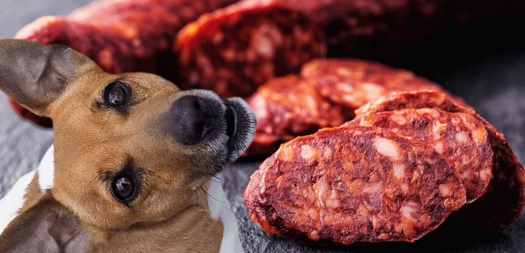 Can-Dogs-Eat-Soy-Chorizo