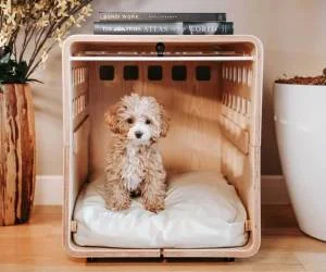 Dog Crates For Travelling