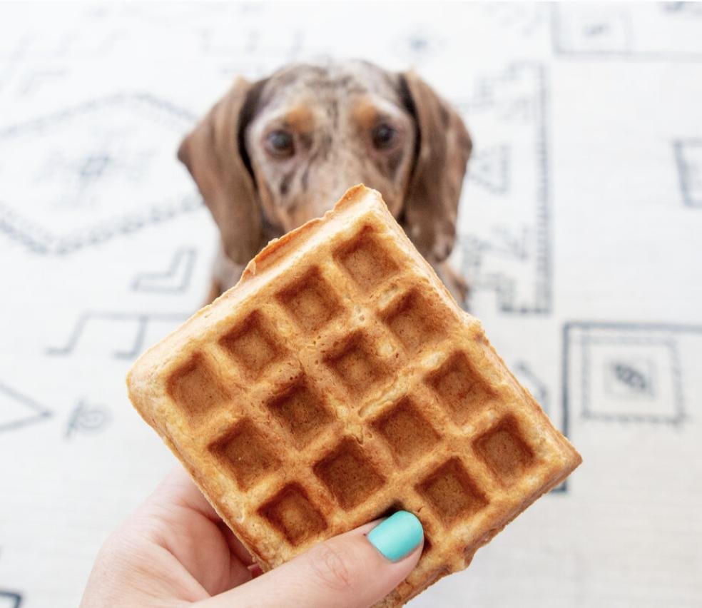 Toppings In Waffles That Are Toxic To Your Dog