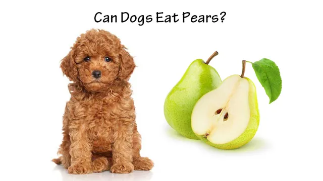 Can Dogs Eat Asian Pears