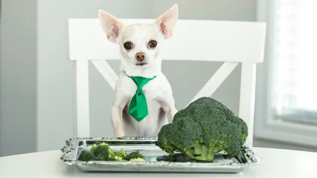 Can Dogs Eat Broccoli And Cauliflower