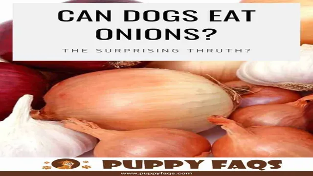 Can Dogs Eat Onion And Garlic