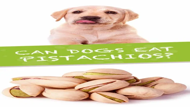 Can Dogs Eat Pistachios Without The Shell