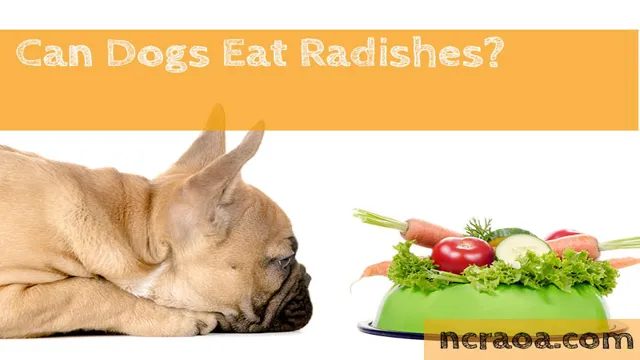 Can Dogs Eat Radish