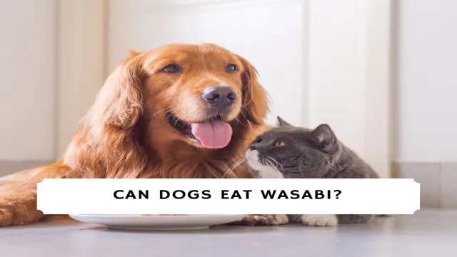 Can Dogs Eat Wasabi