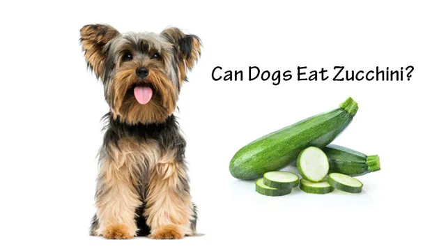 Can Dogs Eat Zucchini Seeds