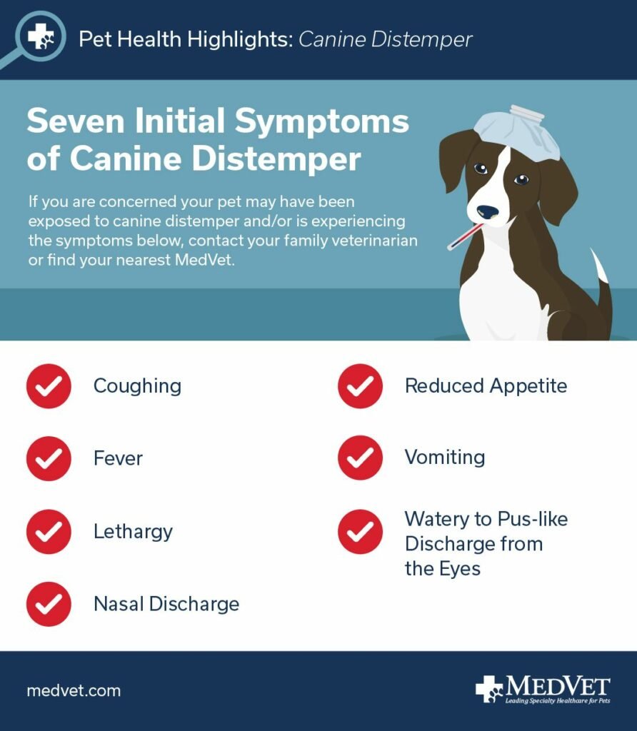Canine Distemper Puppy Infection