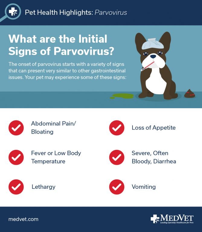 Parvovirus-Puppy-Infection