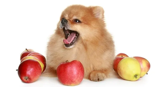 Can Can Dogs Eat Apples