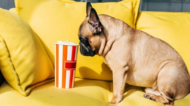 Can Can Dogs Eat Popcorn