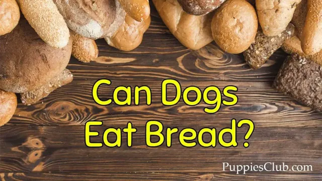 Can Dogs Eat 12 Grain Bread