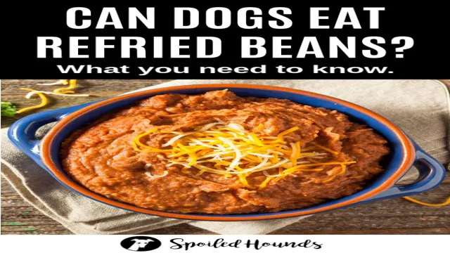 Can Dogs Eat 15 Bean Soup