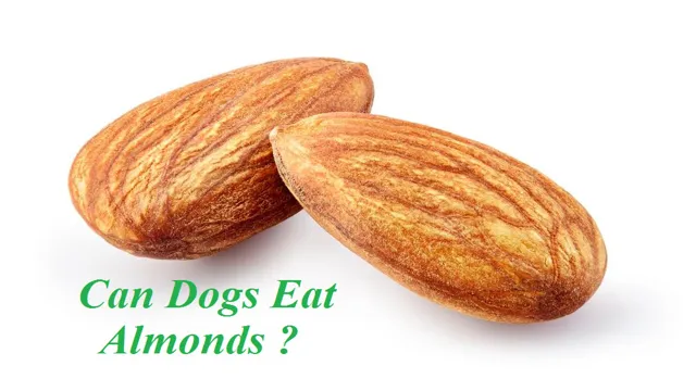 Can Dogs Eat Almonds What