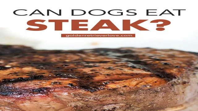 Can Dogs Eat At Bone Steak Bone