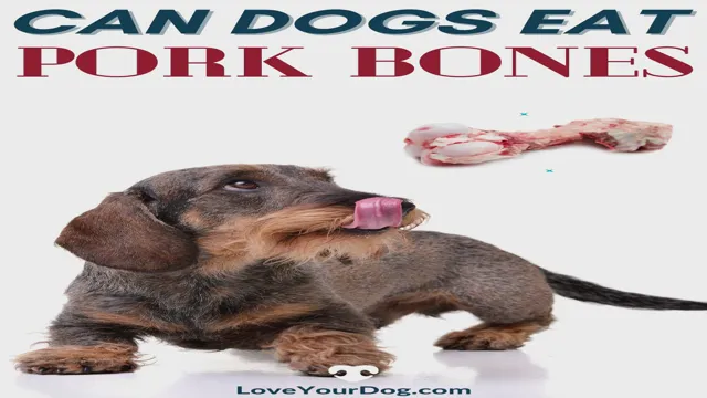 Can Dogs Eat At Bone Steak Bone