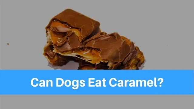 Can Dogs Eat Caramel