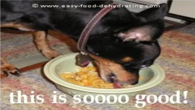 Can Dogs Eat Chikoo