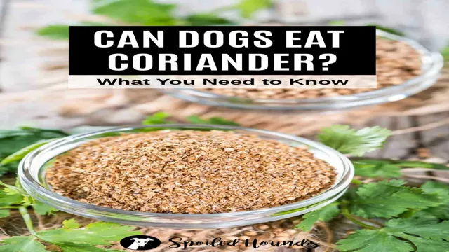 Can Dogs Eat Coriander Leaves
