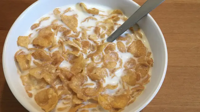 Can Dogs Eat Cornflakes And Milk