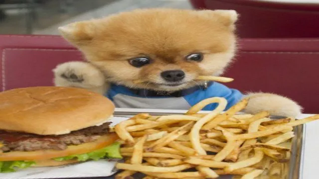 Can Dogs Eat Fast Food Fries