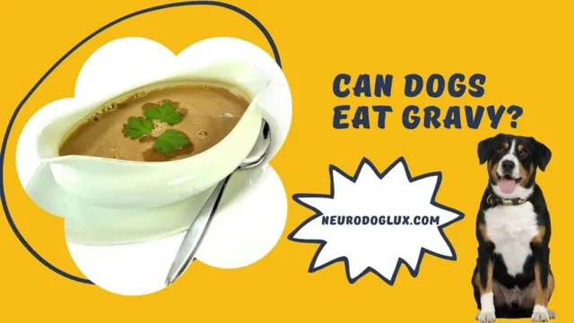 Can Dogs Eat Gravy