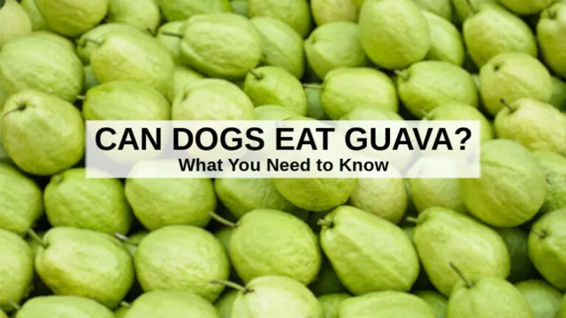 Can Dogs Eat Guava Skin