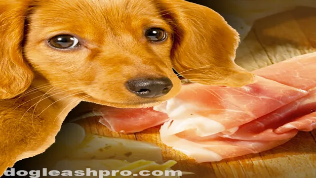 Can Dogs Eat Ham On Thanksgiving