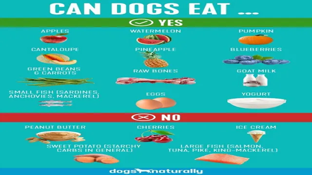 Can Dogs Eat Imli