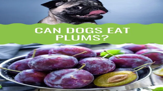 Can Dogs Eat Indian Plum