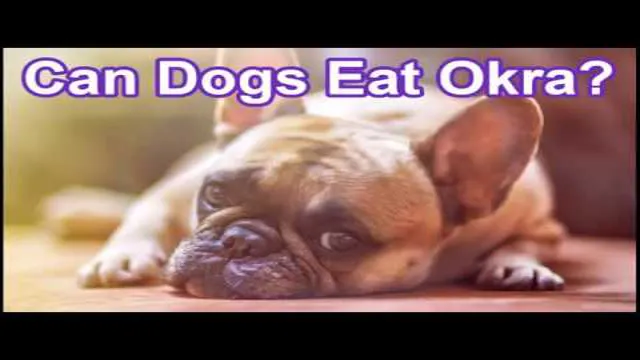 Can Dogs Eat Khoya