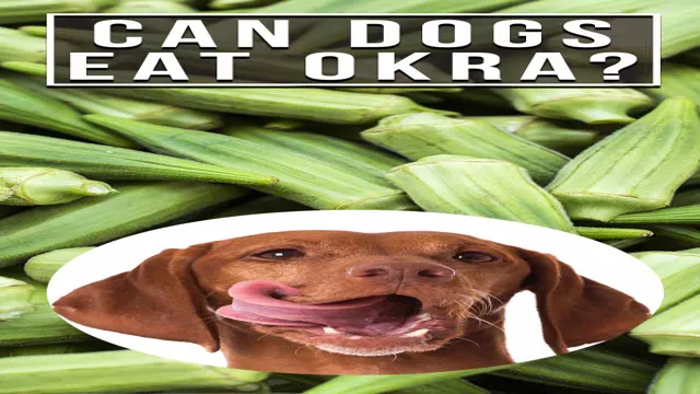Can Dogs Eat Khoya