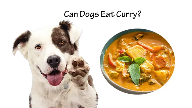 Can Dogs Eat Kurkure