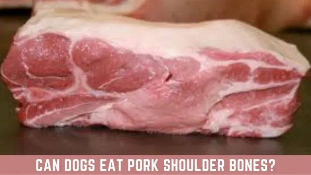 Can Dogs Eat Lamb Shoulder Bones