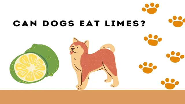 Can Dogs Eat Lime Leaves
