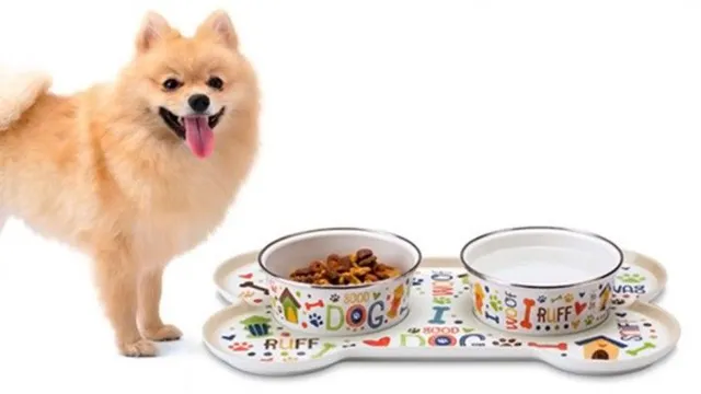 Can Dogs Eat Meal Maker