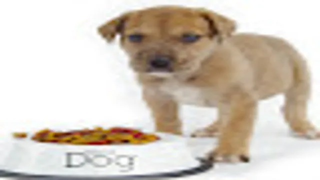 Can Dogs Eat Mooli