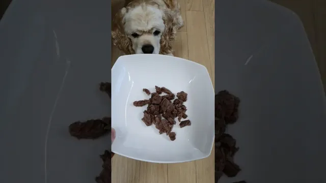 Can Dogs Eat Off Meat