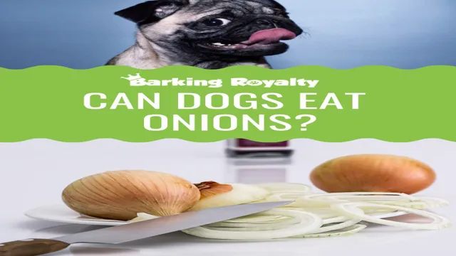 Can Dogs Eat Onion Cooked