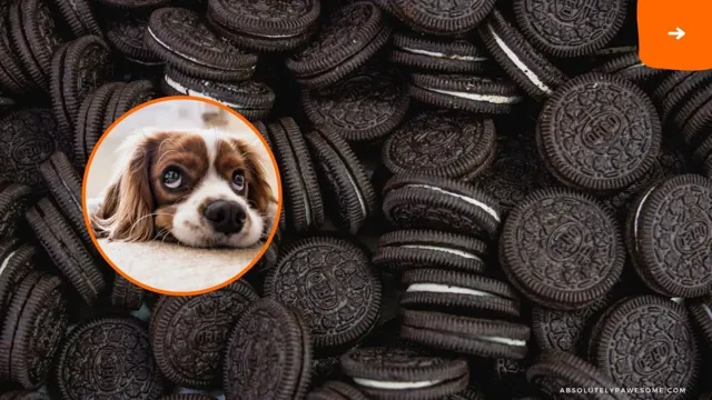 Can Dogs Eat Oreos