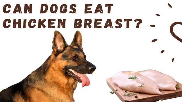 Can Dogs Eat Out Of Date Chicken