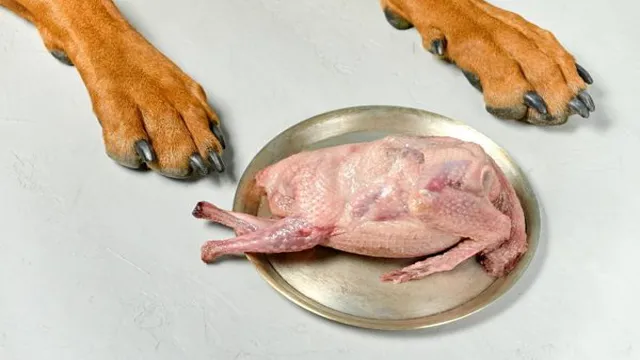 Can Dogs Eat Out Of Date Chicken If Cooked