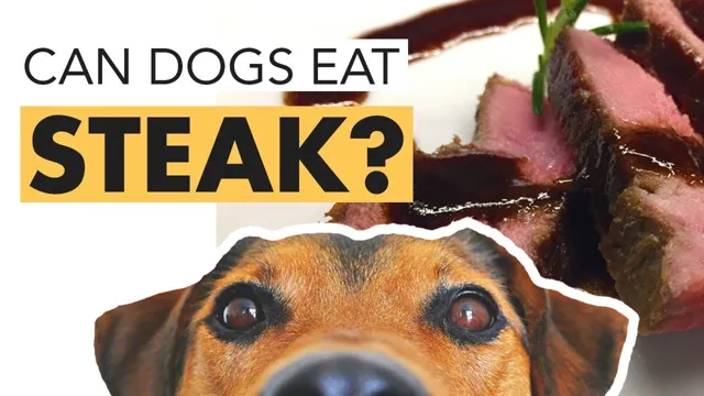 Can Dogs Eat Out Of Date Steak