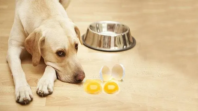 Can Dogs Eat Overcooked Eggs