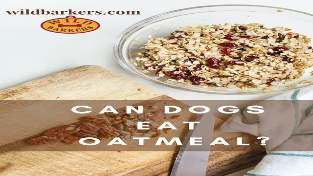 Can Dogs Eat Overnight Oats