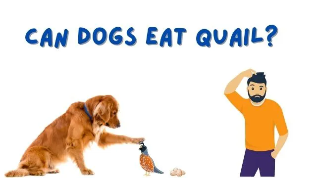 Can Dogs Eat Quail Bones