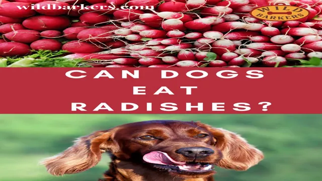 Can Dogs Eat Radish Leaves