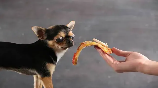 Can Dogs Eat Til