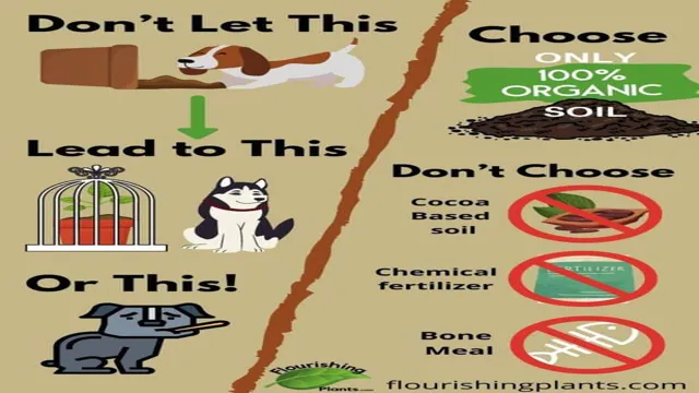 Can Dogs Eat Top Soil