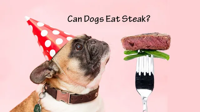 Can Dogs Eat Topside Beef