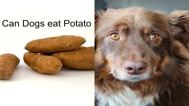 Can Dogs Eat Undercooked Potatoes